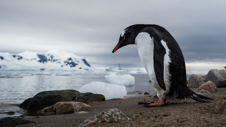 кадр из фильма The Map to Paradise