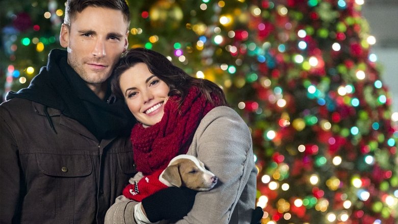 кадр из фильма Поездка в Сиэтл