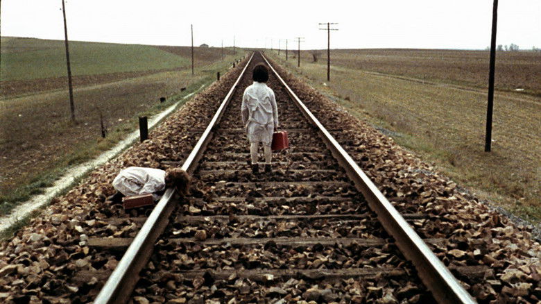 кадр из фильма Дух улья