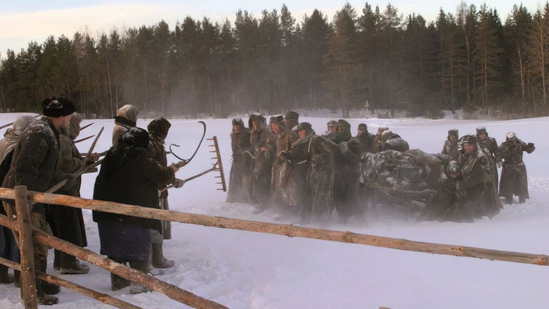 кадр из фильма Полумгла