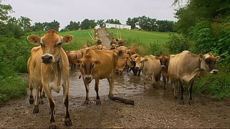 кадр из фильма Pricele$$