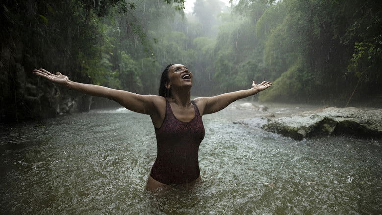 кадр из фильма Pasárgada