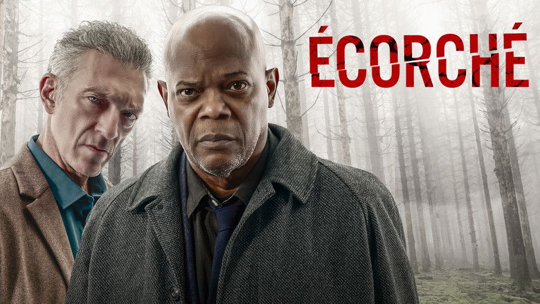 кадр из фильма След киллера