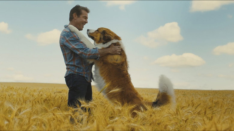 кадр из фильма Собачья жизнь 2