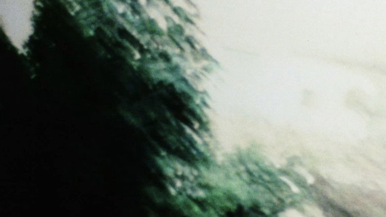 кадр из фильма Chimera