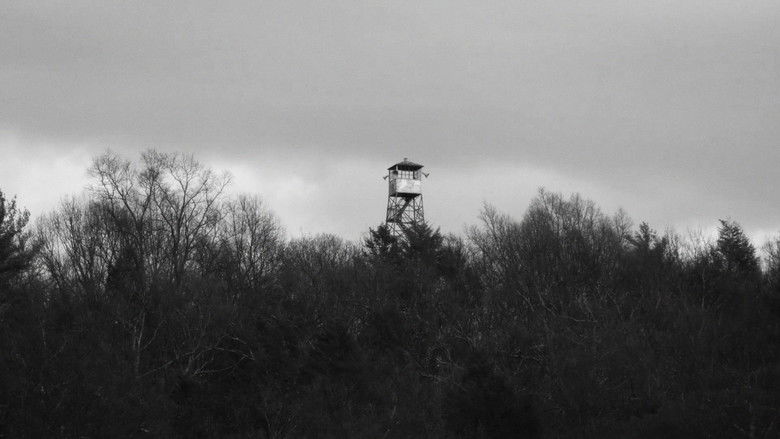 кадр из фильма Black Soil, Green Grass