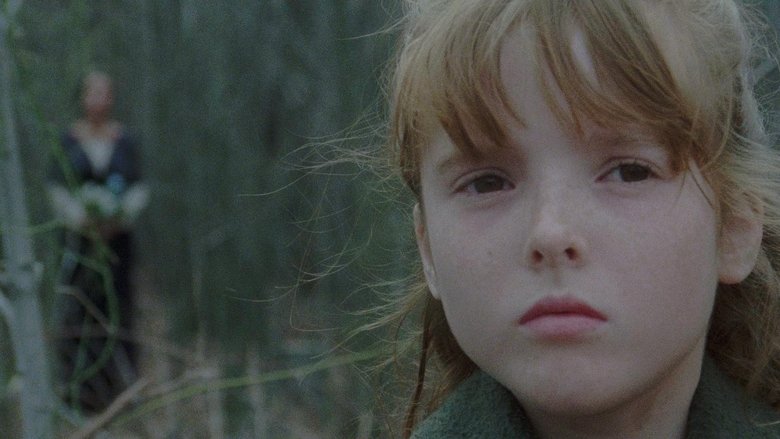 Дом на краю кладбища