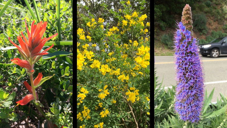 кадр из фильма de rerum natura