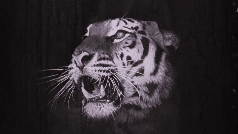 кадр из фильма Индийская гробница 2