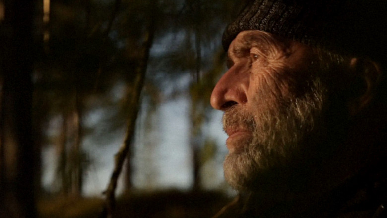 кадр из фильма Le chant des forêts