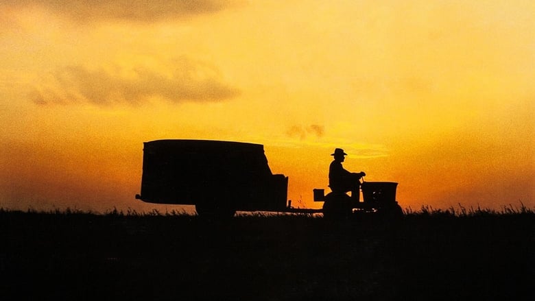 кадр из фильма Простая история