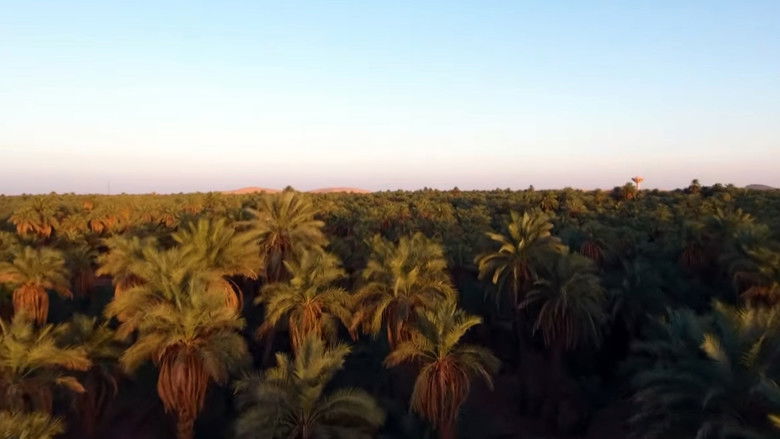 кадр из фильма Twïza, L'Aventure Algérienne