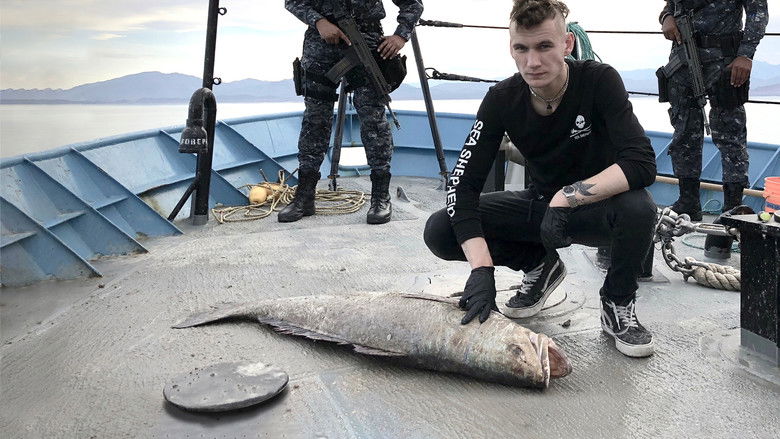 кадр из фильма Sea of Shadows