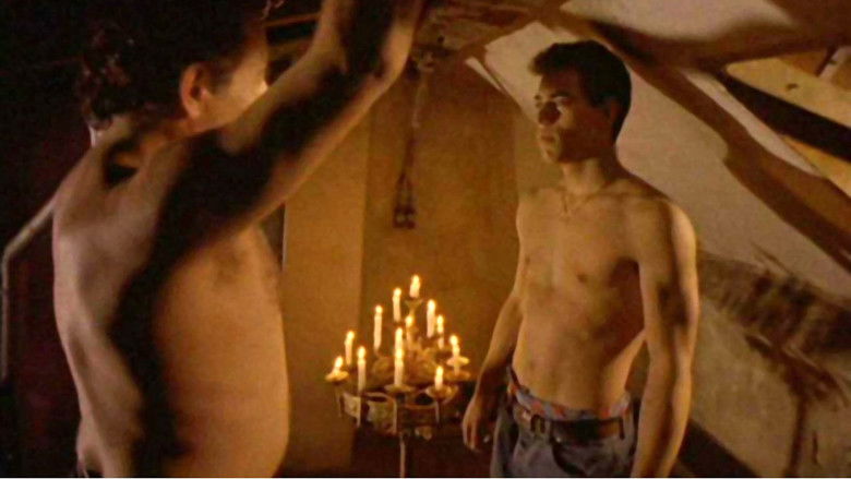 кадр из фильма Дикие ночи