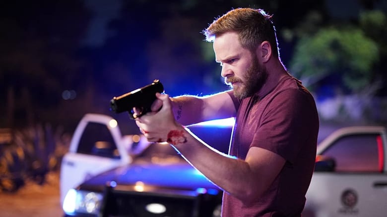 С наступлением ночи