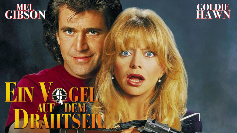 кадр из фильма Птичка на проводе