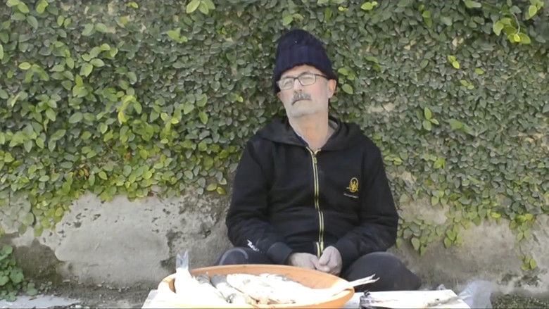 кадр из фильма ماهی گریه می کند