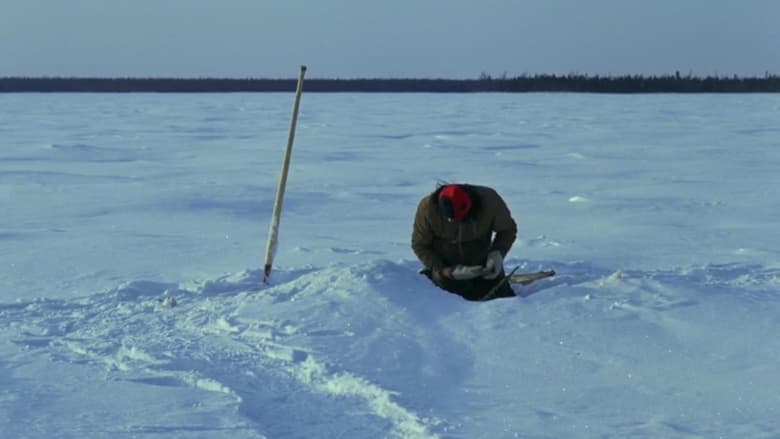 кадр из фильма Le dernier glacier