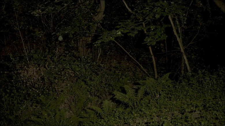 кадр из фильма A Spring Unseen