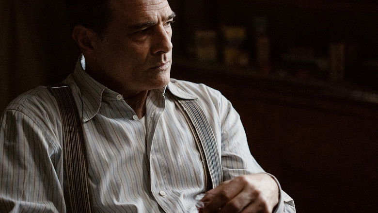 кадр из фильма Il mio posto è qui