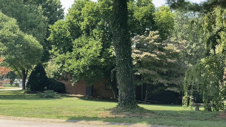 кадр из фильма mailboxes