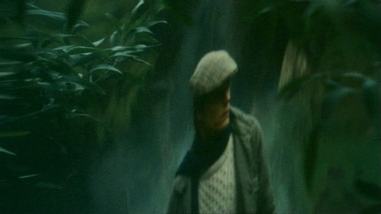 кадр из фильма O Território