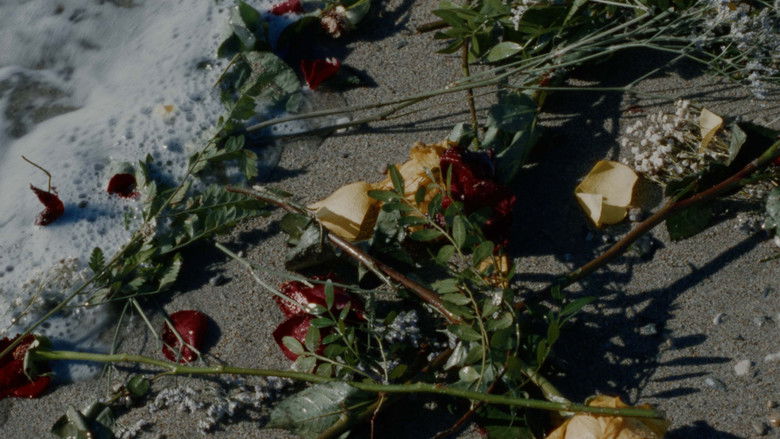 кадр из фильма Anastatica