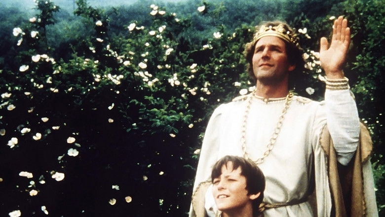 кадр из фильма Мио, мой Мио