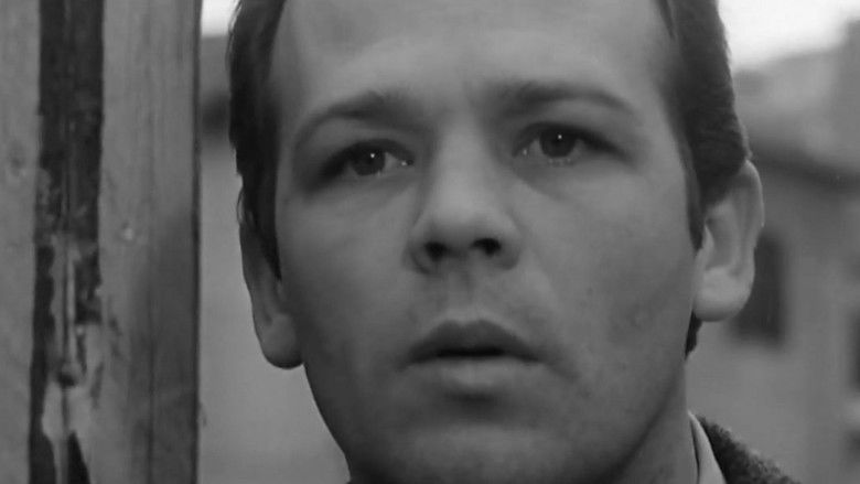 кадр из фильма Il disordine