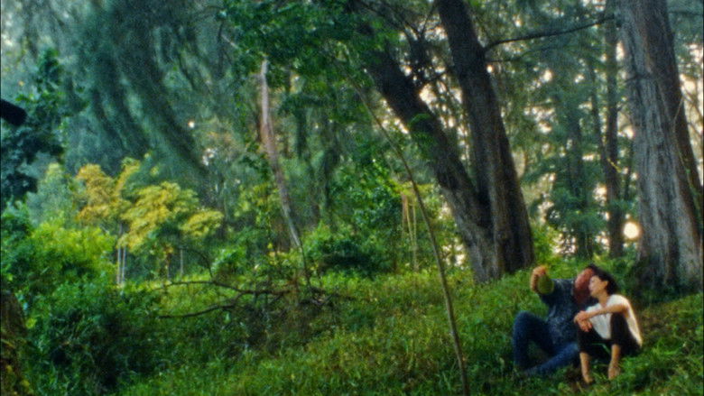 кадр из фильма 榴莲，榴莲