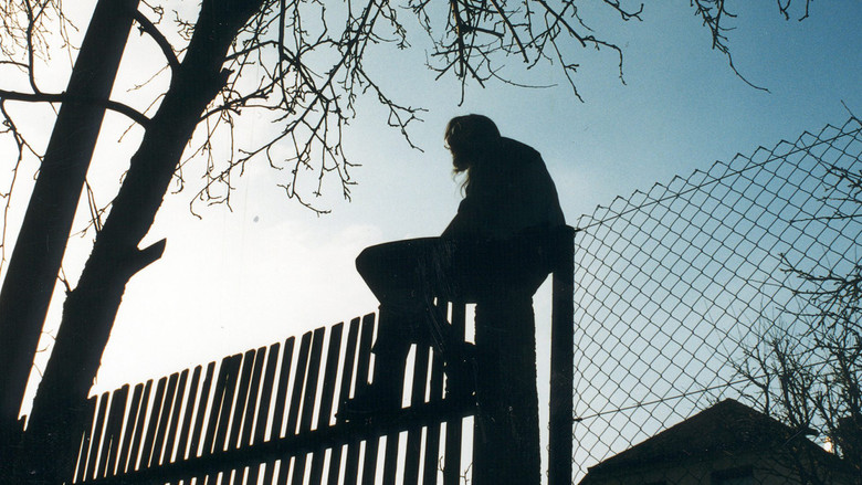 Über die Grenze - Fünf Ansichten von Nachbarn