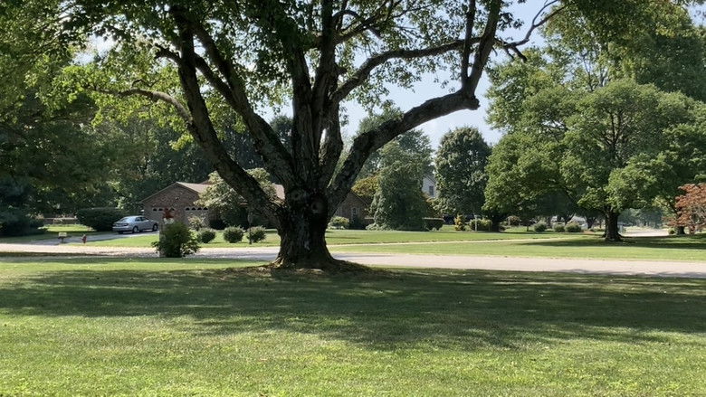 кадр из фильма mailboxes