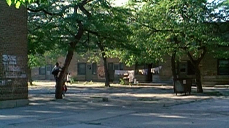 кадр из фильма Public Housing