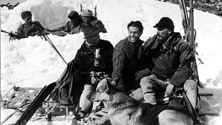 Голубой крест