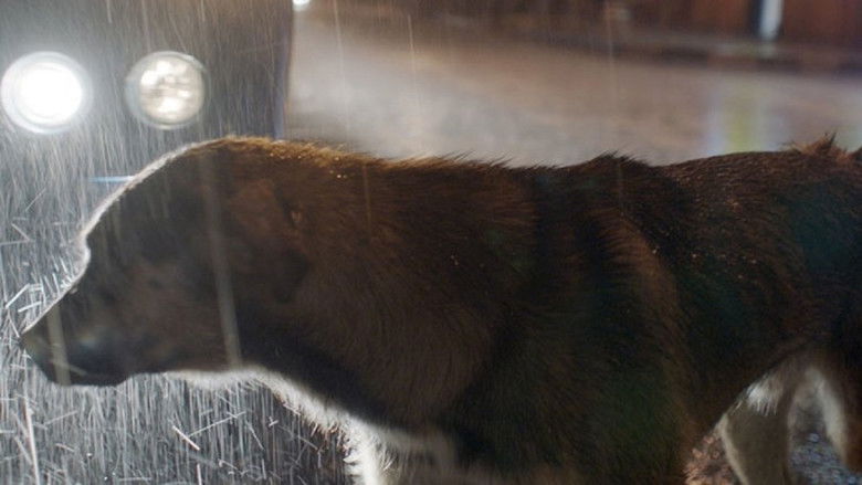 кадр из фильма Космические собаки