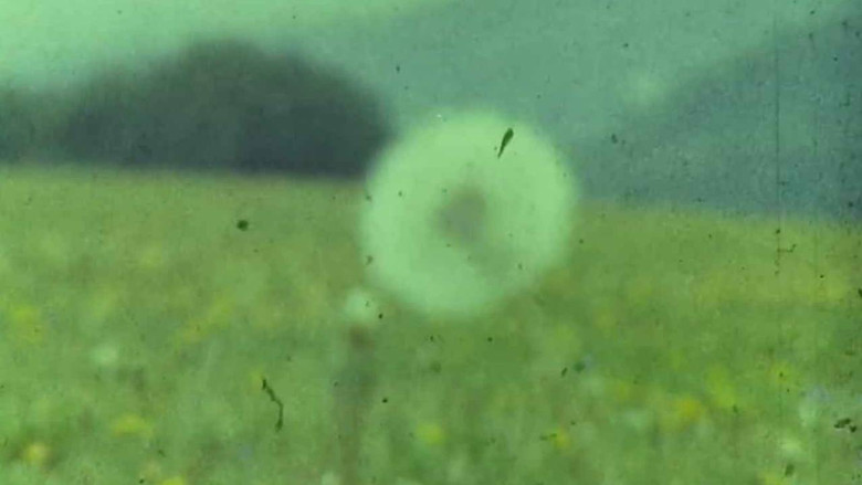 кадр из фильма Мої вихідні