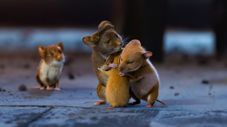 кадр из фильма Мышиный переполох