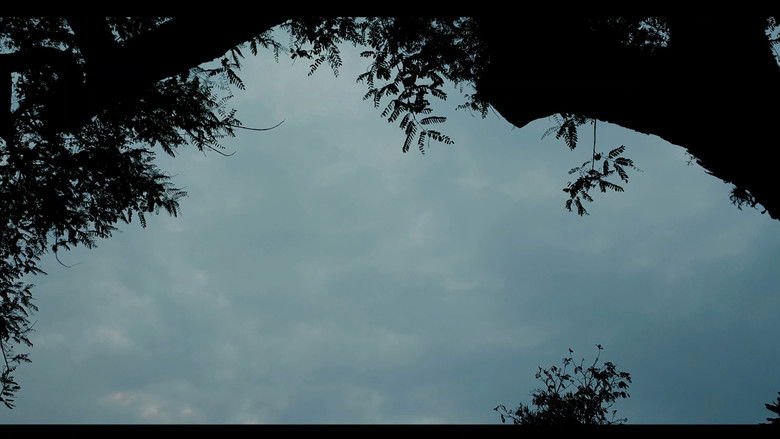 кадр из фильма Além do Tempo