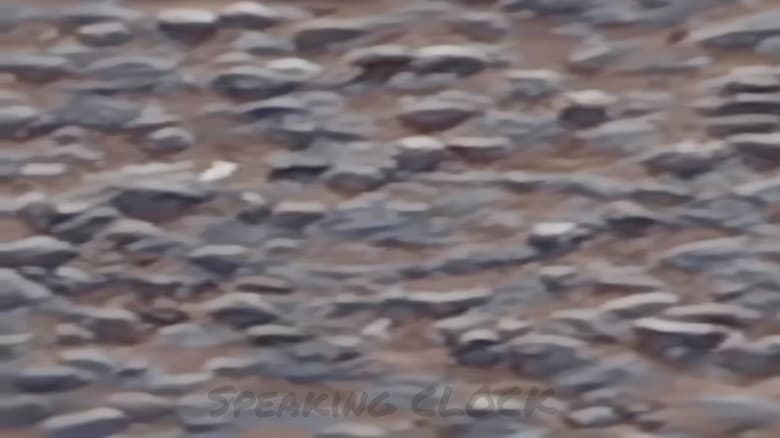 кадр из фильма Speaking Clock