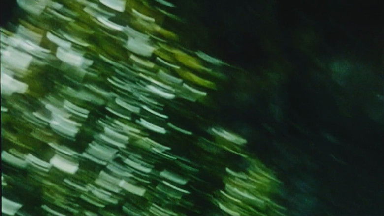 кадр из фильма De grote vakantie