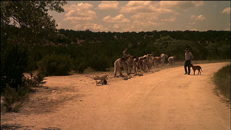 кадр из фильма The Ballad of the Sad Cafe