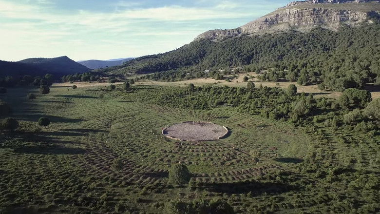 кадр из фильма Sad Hill Unearthed