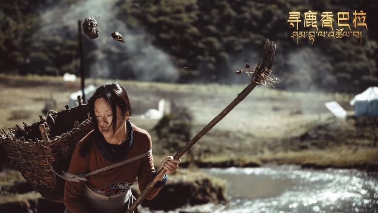 кадр из фильма 寻鹿香巴拉