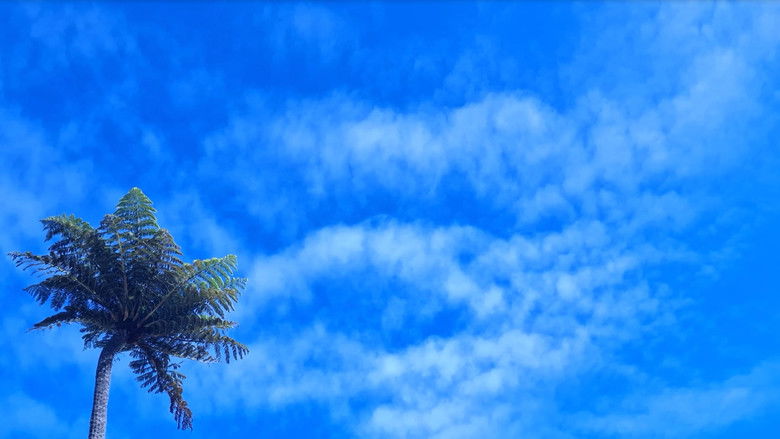 кадр из фильма Sunburn