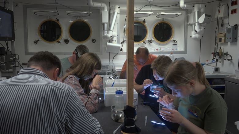 кадр из фильма Palingdans