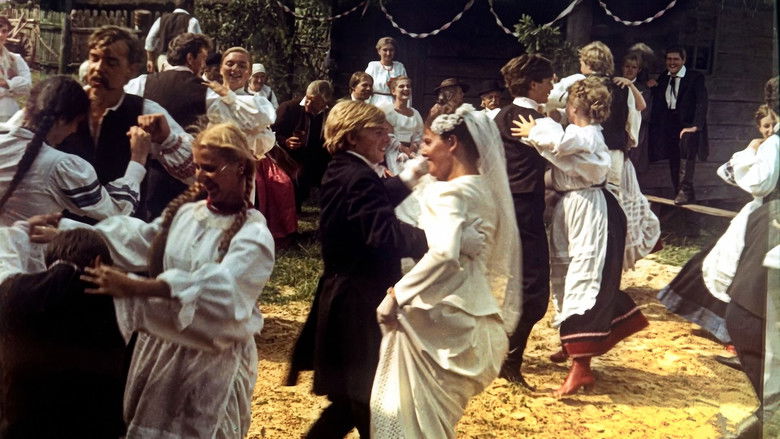 кадр из фильма Nad Niemnem