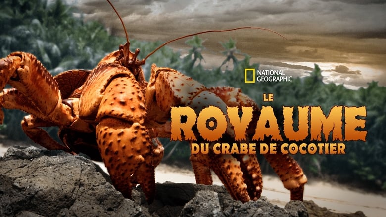 кадр из фильма The Giant Robber Crab