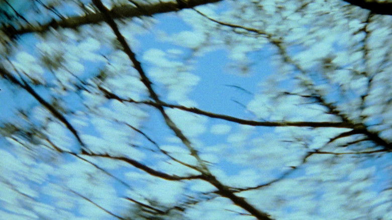 кадр из фильма Pavilion