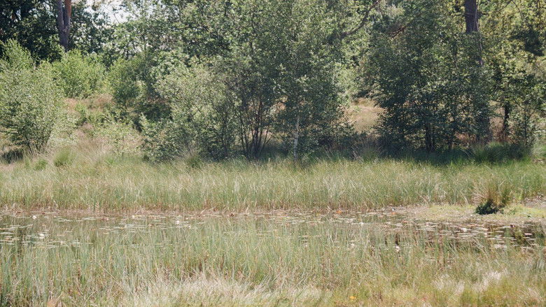 кадр из фильма En Plein Air