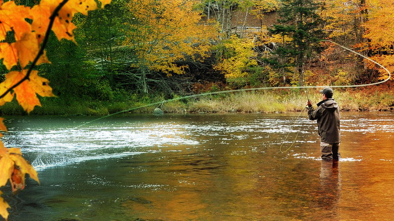 кадр из фильма King Fishers: Battle Of The Nordics